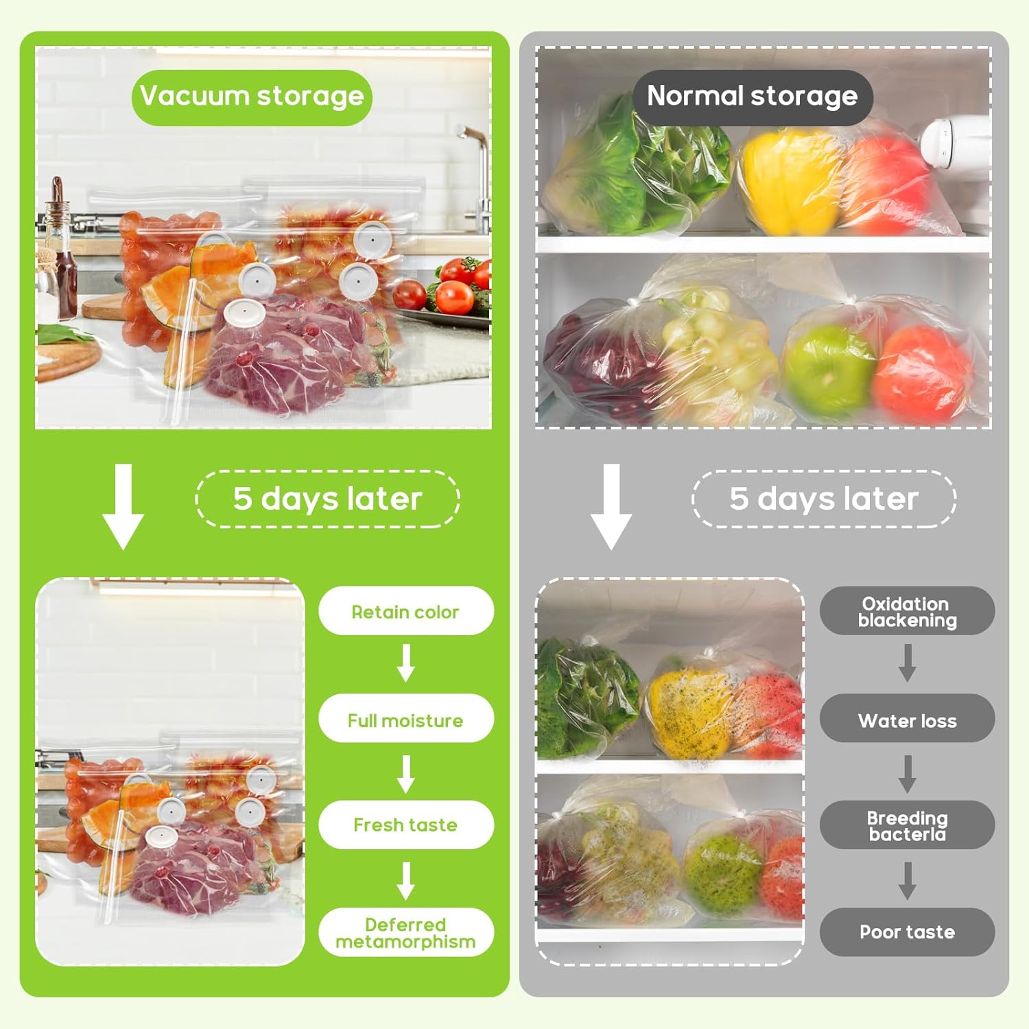Vacuum Sealer Handheld vacuum  - đánh giá và giá Food Vacuum Sealer Machine